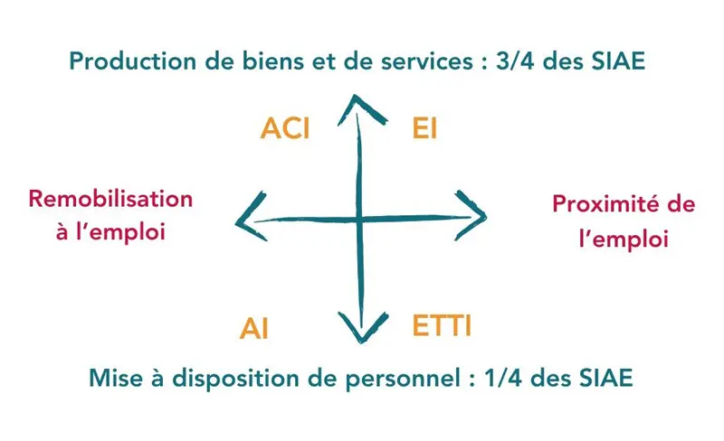 offre de service schéma La Grappe collectif à Bordeaux